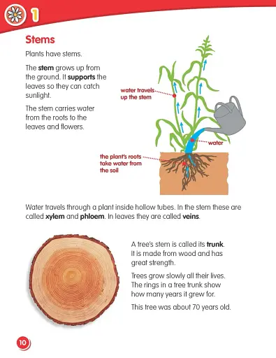 Macmillan Science. Level 3. Student's Book & eBook - фото 4