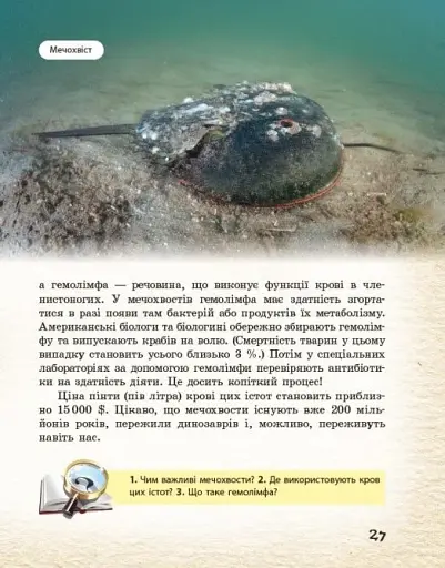 Тварини навколо нас - фото 8