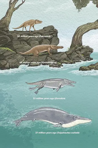 Unstoppable Us. Volume 1. How Humans Took Over the World - фото 6