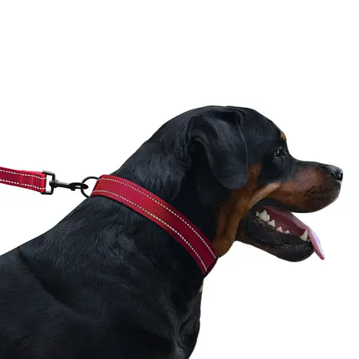 Нашийник для собак Barksi Active світловідбивний пластиковий фастекс 35-53х2.5 см червоний - фото 5