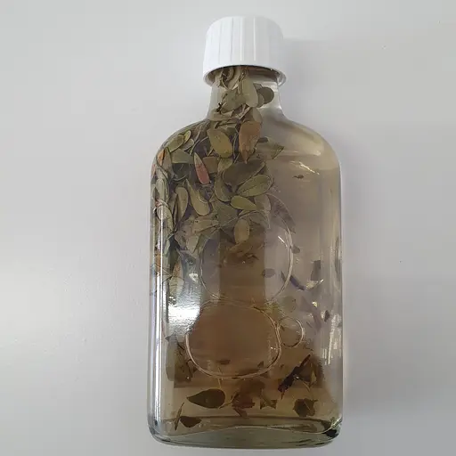 Водна настоянка на листі мучниці толокнянки 200 мл - фото 2