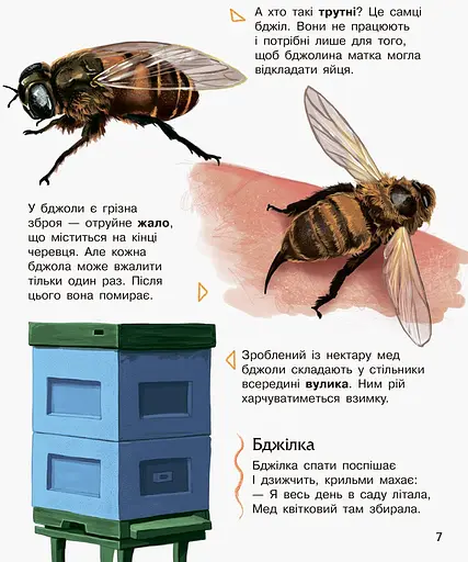 Енциклопедія дошкільника Ранок Комахи - Юлія Каспарова (С614014У) - фото 7