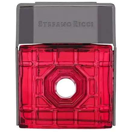 Парфумована вода оригінал Stefano Ricci Paris 100 мл - фото 1