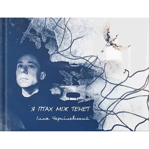 Я птица между сетью - Илья Чернилевский