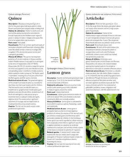 Encyclopedia of Herbal Medicine - фото 14