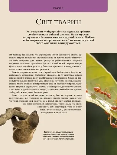 Велика книга тварин - фото 6