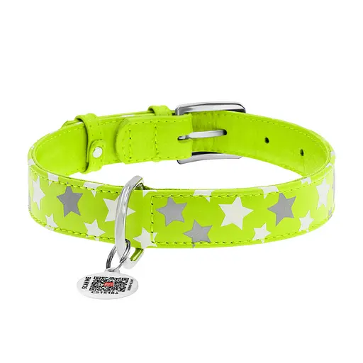 Ошейник для собак кожаный Waudog Glamour с QR-паспортом узор "Звездочка" светонакопительный/светоотражающий M Ш 20 мм, - фото 3