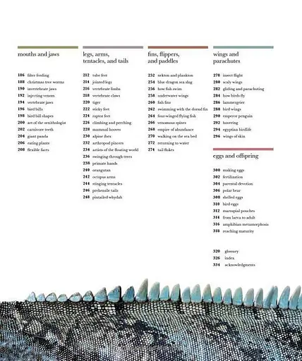 The Science of Animals - фото 4