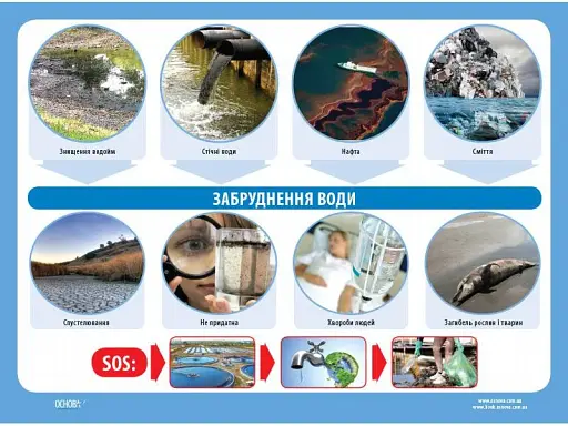 Комплект двосторонніх плакатів. Оберігаймо природу. Наочність - фото 2