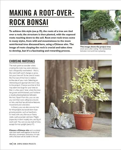 Grow Bonsai - фото 11