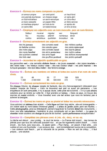 BLED Conjugaison - фото 3