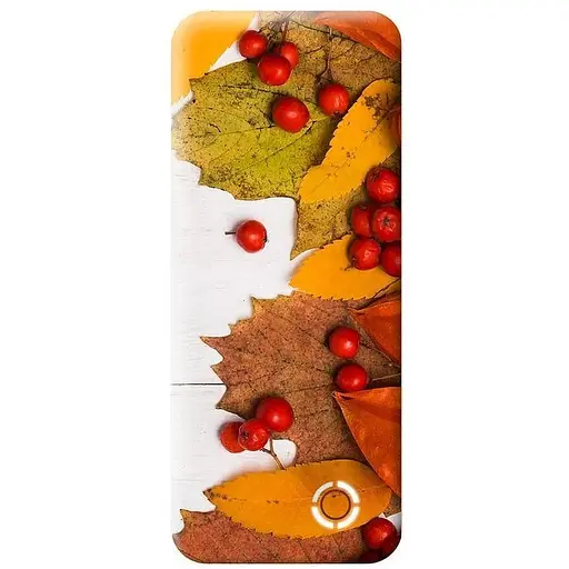 Портативний акумулятор POWERPack Colors of Nature 10000 мАг