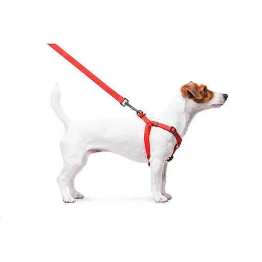 Шлея для собак водостійка Waudog Waterproof з QR-паспортом металічна пряжка-фастекс Ш 15 мм Д 40-55 см червоний - фото 5