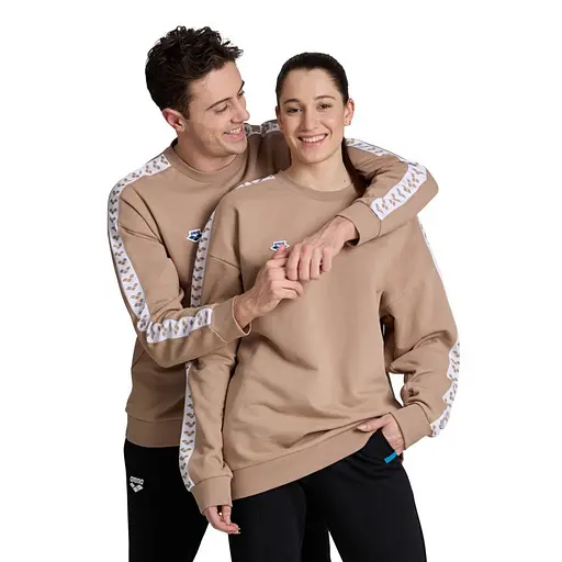 Кофта Arena Sweat Team Oversize Caramel XL (1097-002304-210 XL) - фото 3