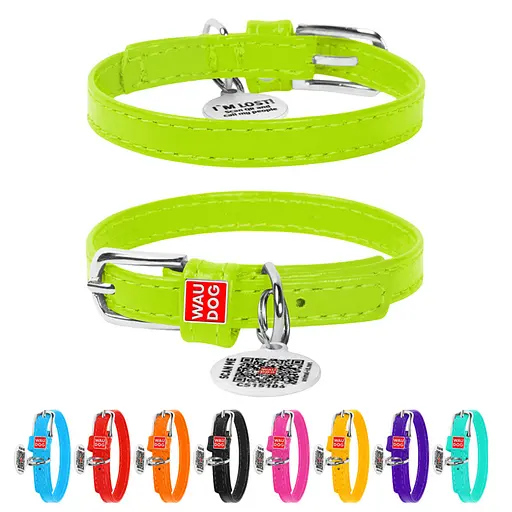 Нашийник для собак шкіряний Waudog Glamour з QR-паспортом без прикрас XXS Ш 9 мм Д 18-21 см салатовий - фото 2