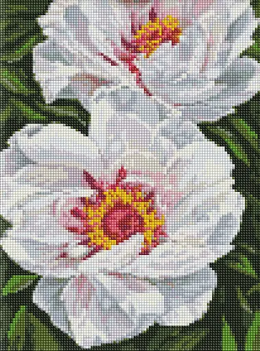 Набір з алмазною мозаїкою Білі півонії AMO7753, 30x40 см