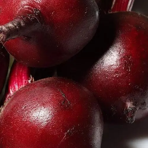 Свекла Весна Винегретная (в банке) Органик 20г (45424) - фото 2