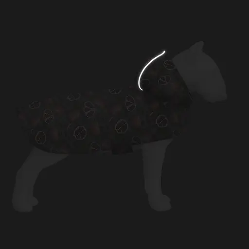 Дощовик-накидка з капюшоном для собак Waudog Clothes, малюнок "Гранати", S, А 32-35 см, B 41-52 см, С 26-33 см - фото 5