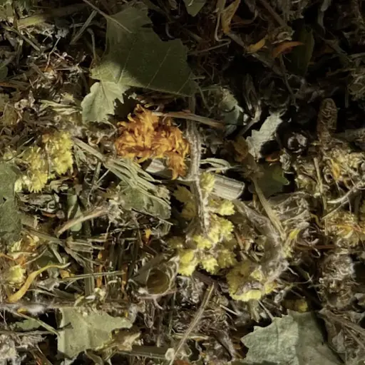 Сбор травяной для восстановления функций печени,  поджелудочной железы и желудка, 100 г