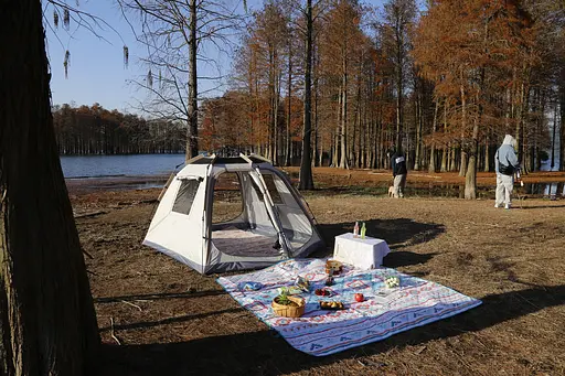 Автоматичний розкладний кемпінговий намет 290×210×150 см білий 4 особи OldBro CC-SY22ZP008 - фото 5