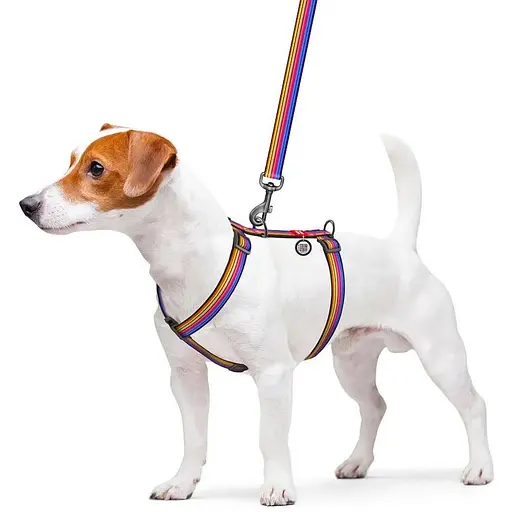 Шлейка для собак Waudog Nylon анатомическая H-образная с QR-паспортом, рисунок "Линия 1", пластиковый фастекс, L - фото 3