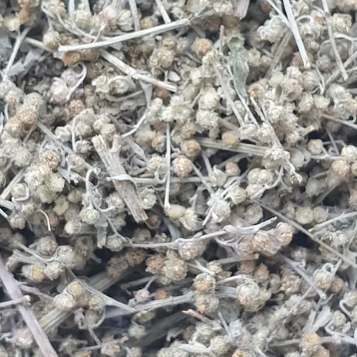 100 г полынь горькая трава сушеная - свежий урожай