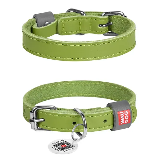 Ошейник для собак кожаный Waudog Classic Ш 12 мм Д 21-29 см салатовый