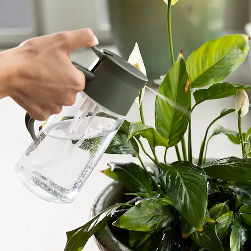 Лійка-пульверизатор 2-в-1 для кімнатних рослин Fiskars Mist & Pour Carafe 0.5 л (1080774) - фото 4