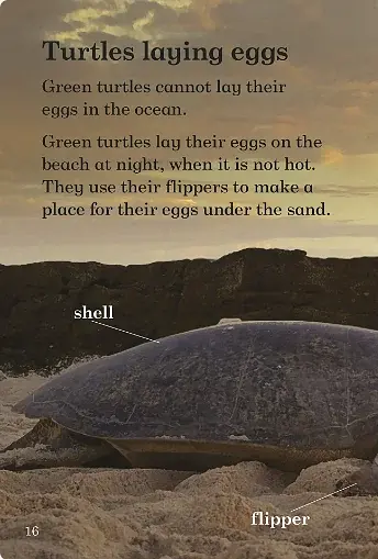 Where Animals Live. Ladybird Readers. Level 3 - фото 4