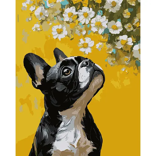Картина за номерами Santi Бульдог і квіти 40х50 см (955746)