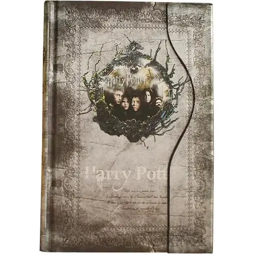 Дневник GeekLand Harry Potter серебристый 6.38.5 - фото 1