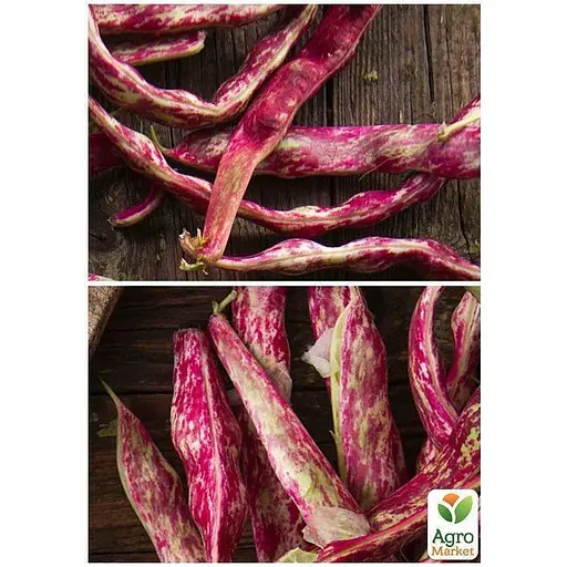 Фасоль "Красная шапочка" ТМ "Весна" 20г (22315) - фото 2