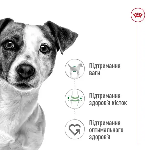 Сухий корм для дорослих собак Royal Canin Mini Adult з м'ясом птиці 8 кг - фото 3
