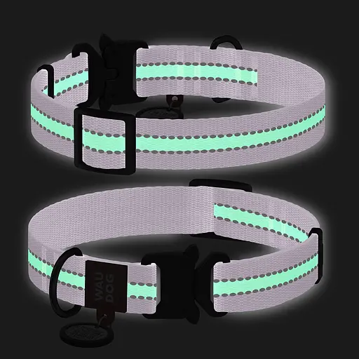 Ошейник для собак нейлоновый Waudog Nylon с QR-паспортом светонакопительный/светоотражающий металлическая пряжка-фастекс Ш 20 - фото 2
