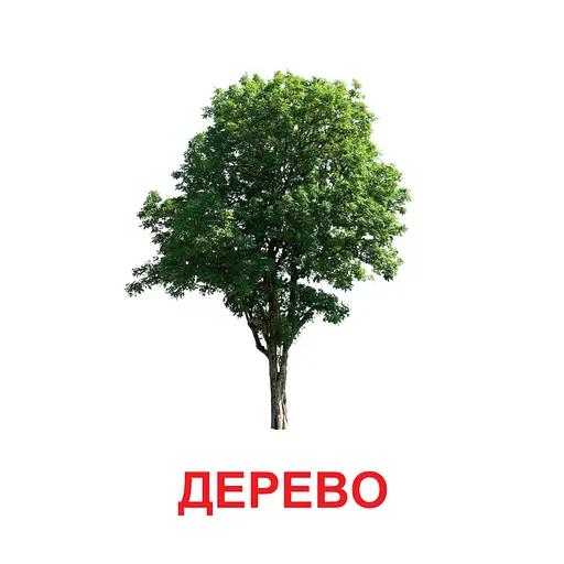 Картки міні Zirka Світ рослин 110х110 мм (478518) - фото 2