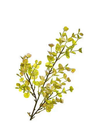 Гілка штучна "Евкаліпт", лимонно - жовта 61 см (8408-026) Elisey   - фото 2
