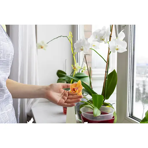 Аппликатор для орхидей COMPO 1*30 мл 50 шт в диспенсере - фото 8