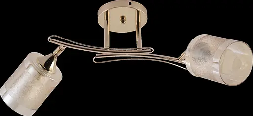 Потолочная люстра V XA1546A/2 FGD - фото 3