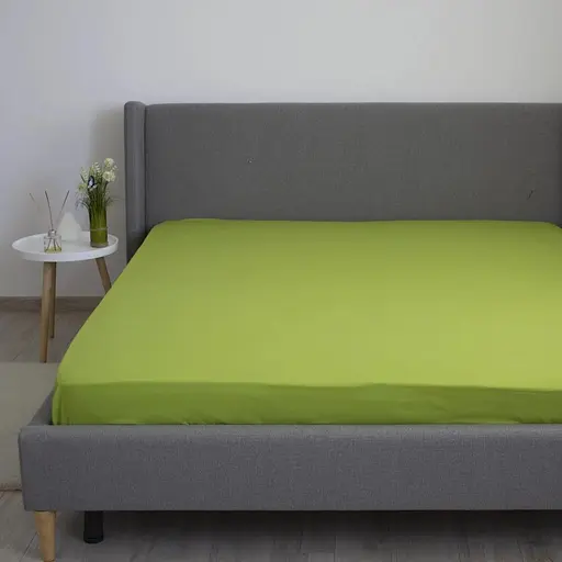 Простыня ТЕП Вдохновение с резинкой Herbal Green, 160 x 200 (2-04017_32254) - фото 1