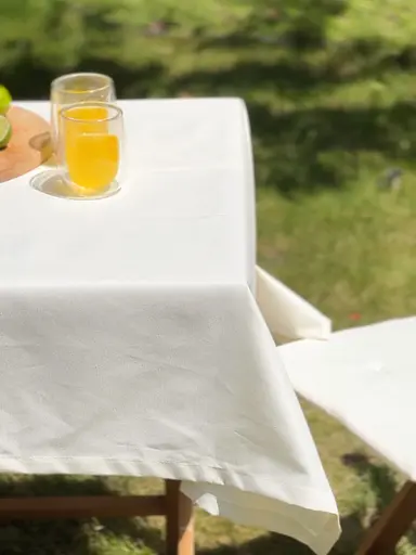 Водовідштовхувальна скатертина Ваніль однотон 280х140 см (+ 6 серветок 30х40) - фото 4