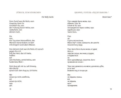 Нічийна троянда - фото 9