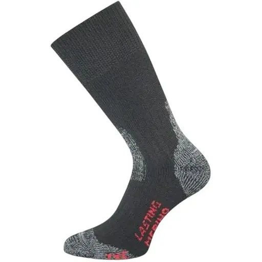 Носки Lasting TXC 900 Black M (LST-TXC900M)