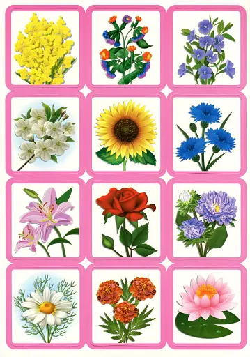 Дидактична гра. Весняні квіти - фото 3