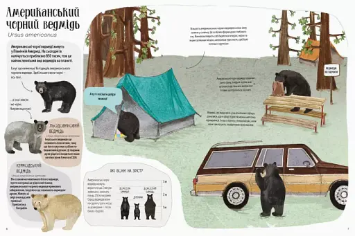 Ведмежа книга - фото 4