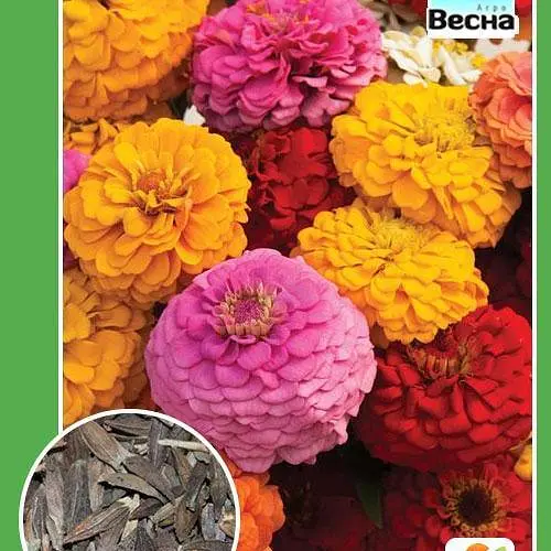 Циния "Махровая смесь" Весна 0.4г (11659) - фото 2