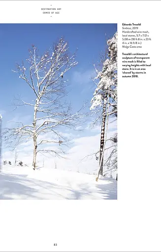 Destination Art (Art Essentials) - фото 18