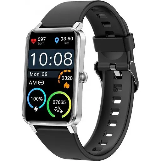 Smart Watch Globex Fit Silver UA - фото 1