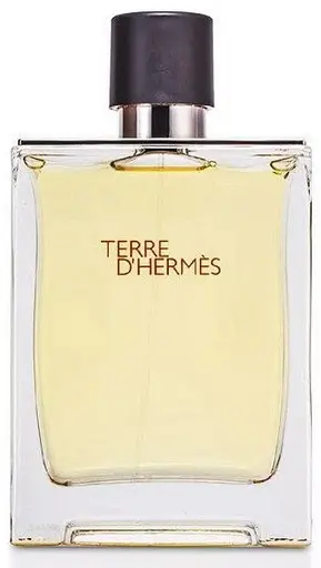 Hermes Terre d'hermes Eau De Toilette туалетна вода 100 ml - фото 2