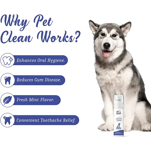 Спрей Pet Clean Dental для гигиены полости рта и поддержания здоровья зубов домашних животных 100 мл - фото 3