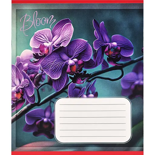 Зошит учнівський "Орхідеї" 018-530261K-4 в клітинку, 18 аркушів